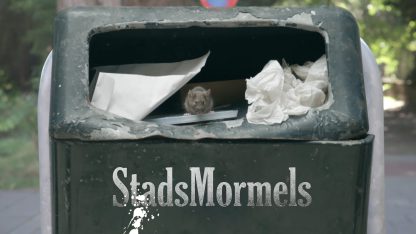Stadsmormels-0